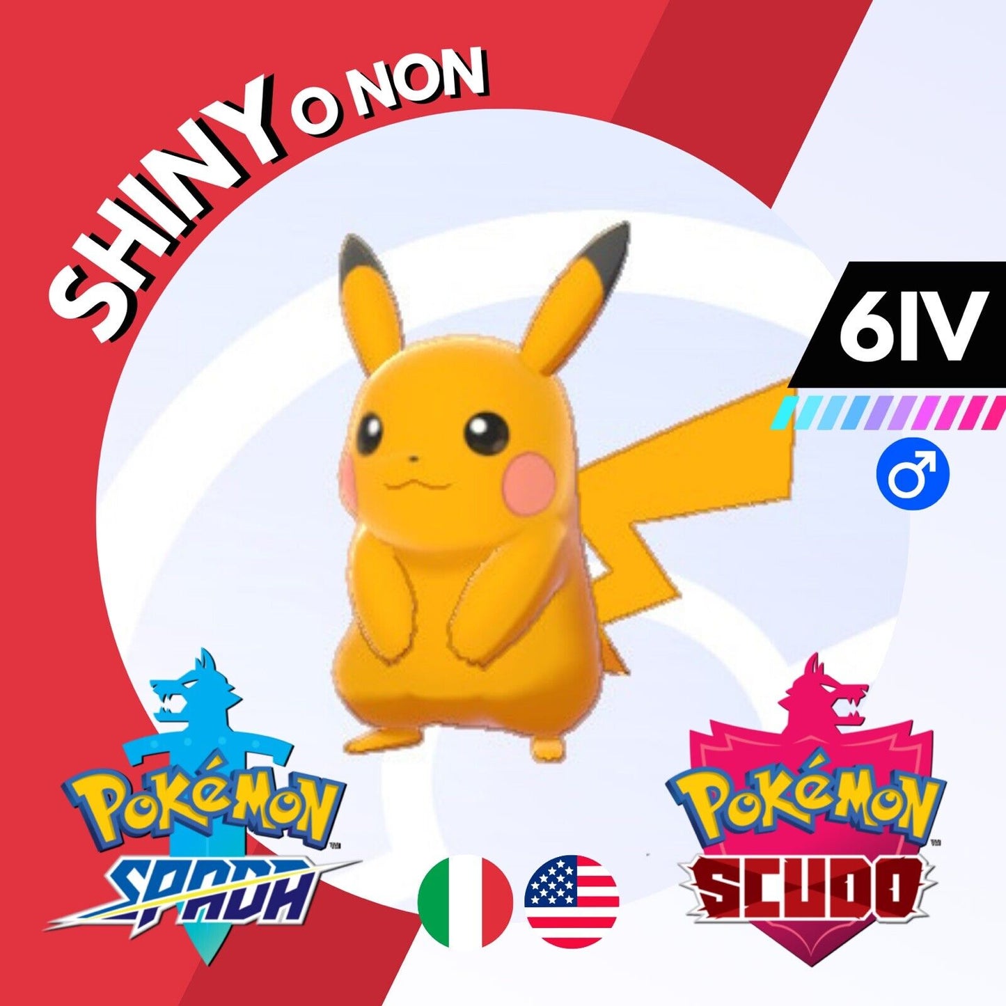【新品、未使用】希少FAN OF PIKACHU & EIEVUI ピンバッチ Pikachu Shiny o Non 6 IV Competitivo Legit Pokemon Spada