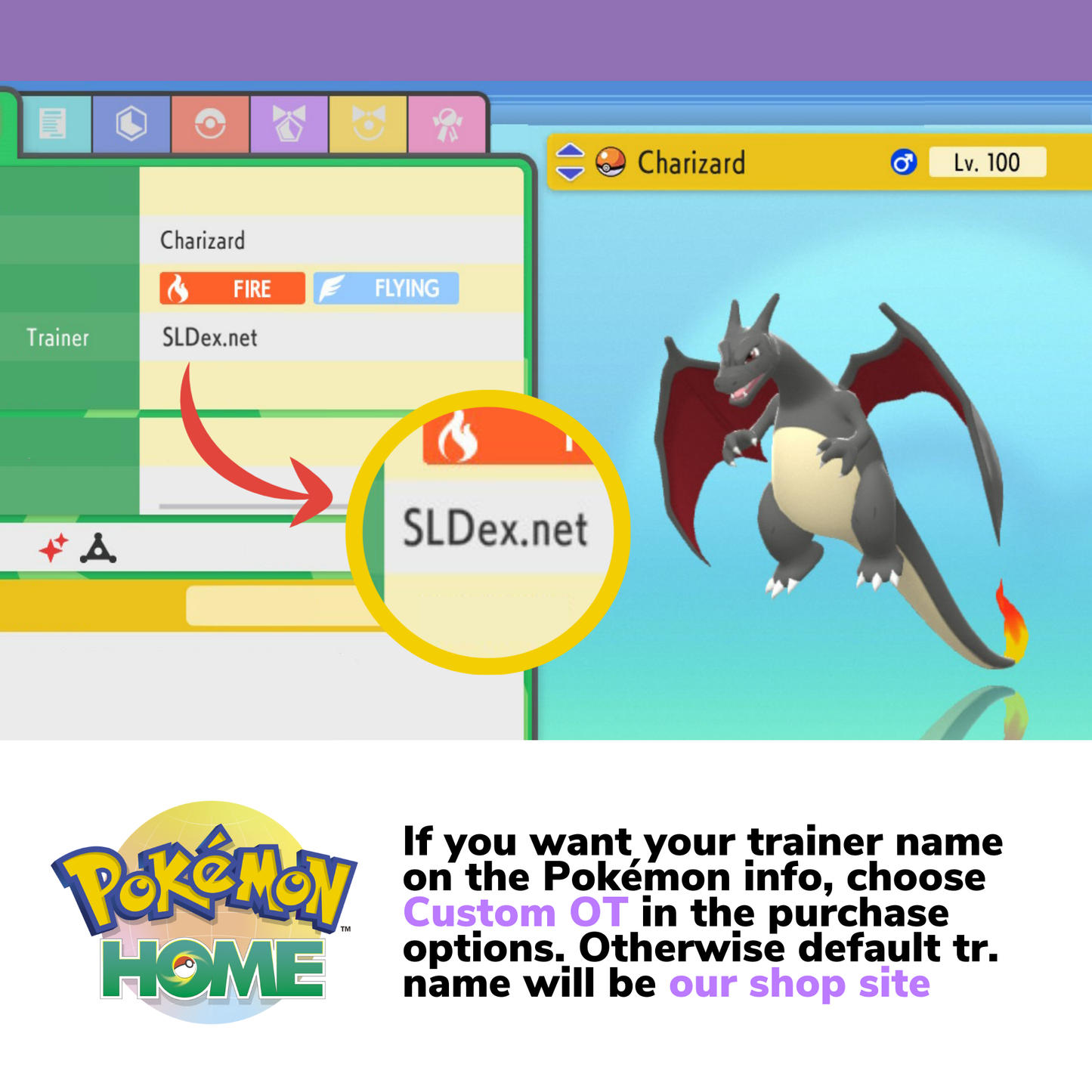 Pokémon Brilliant Diamond Shining Pearl Complete Shiny Living Dex & Strategy Guide Custom OT name Pokedex Pokémon HOME 6IV