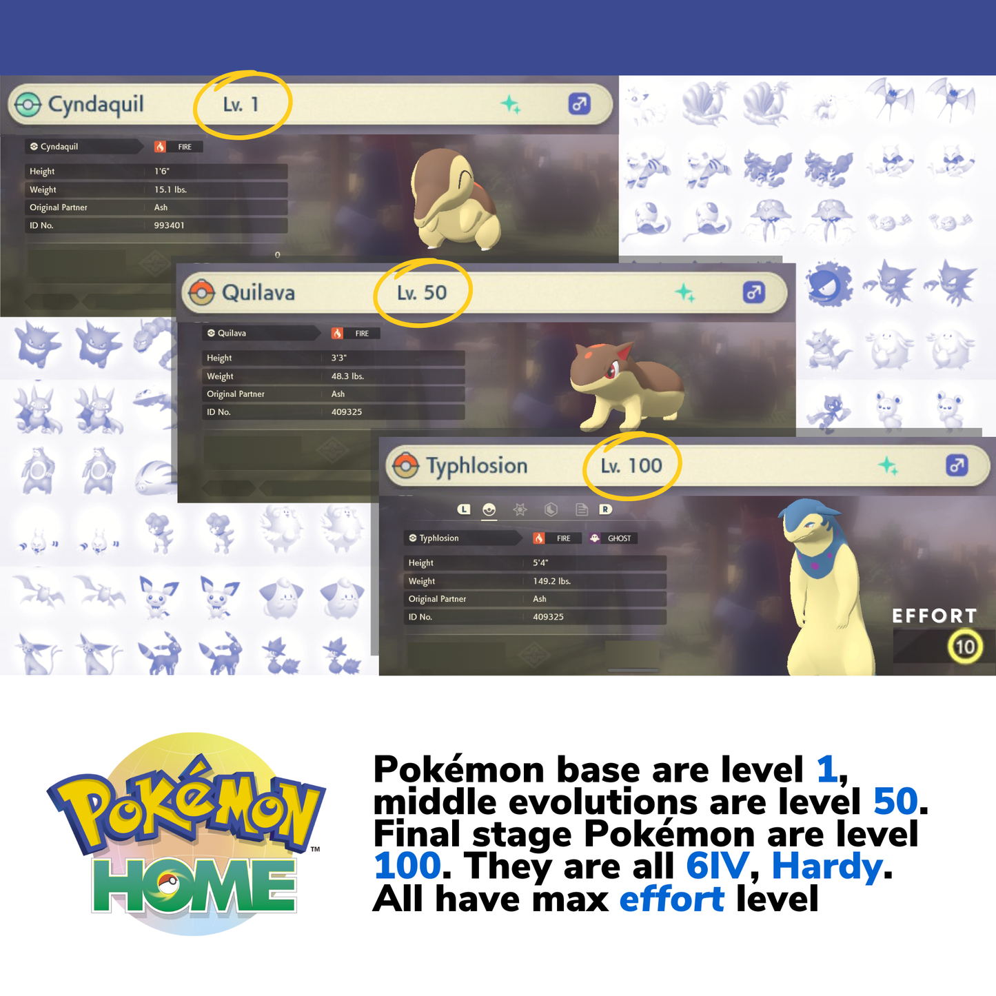 Pokemon Legends Arceus Complete Alpha Shiny Living Dex Custom OT name Pokedex Pokémon HOME 6IV Competitive Max Effort Level by Il mio negozio | Shiny Living Dex