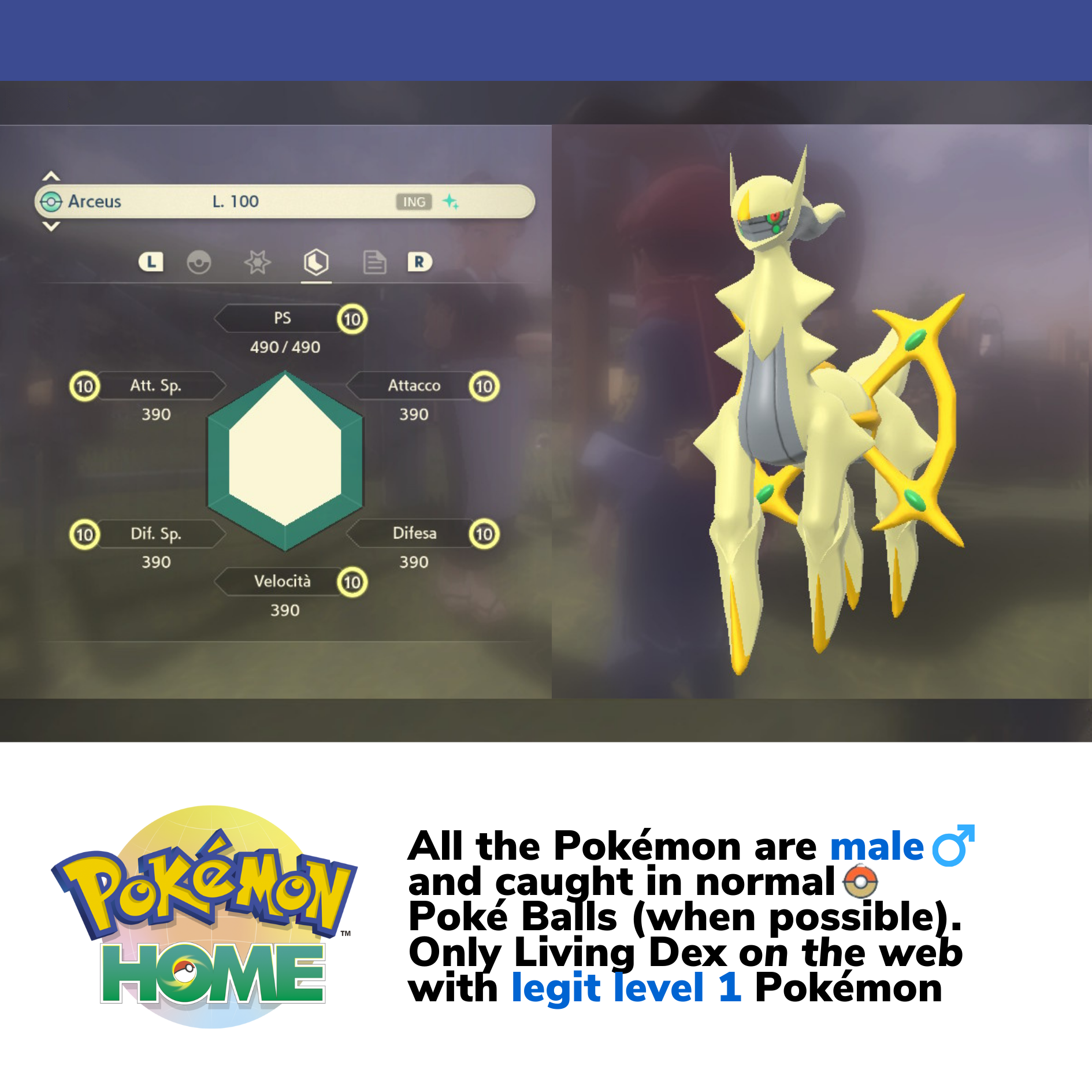 Pokemon Legends Arceus Complete Alpha Shiny Living Dex Custom OT name Pokedex Pokémon HOME 6IV Competitive Max Effort Level by Il mio negozio | Shiny Living Dex