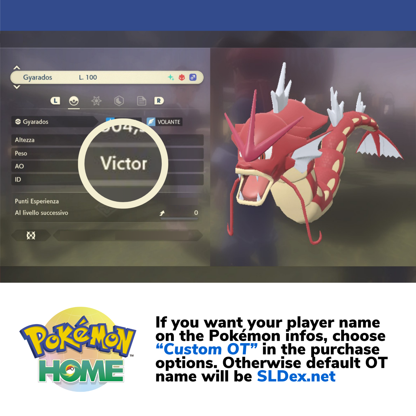 Pokémon Legends Arceus Complete Alpha Shiny Living Dex & Strategic Guide Custom OT name Pokedex Pokémon HOME 6IV Competitive