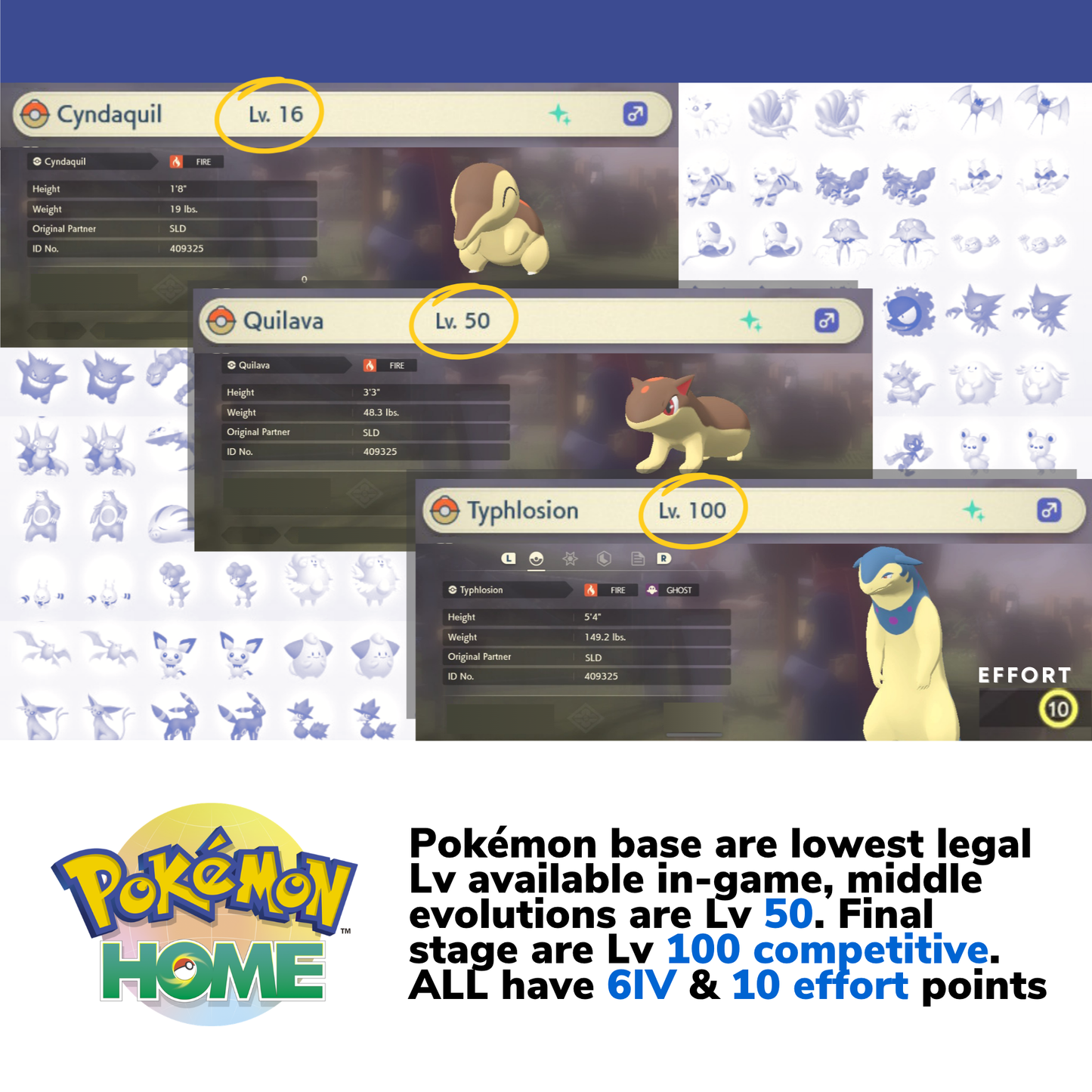 Pokémon Legends Arceus Complete Shiny Living Dex & Strategic Guide Custom OT name Pokedex Pokémon HOME 6IV Competitive