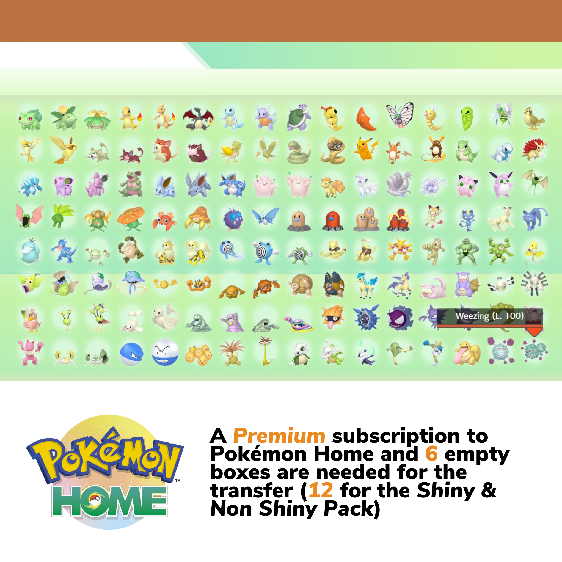 Pokemon Let’s Go Pikachu Eevee Complete Kanto Shiny Living Dex Custom OT name Pokedex Pokémon HOME Lets 6IV Competitive by Il mio negozio | Shiny Living Dex