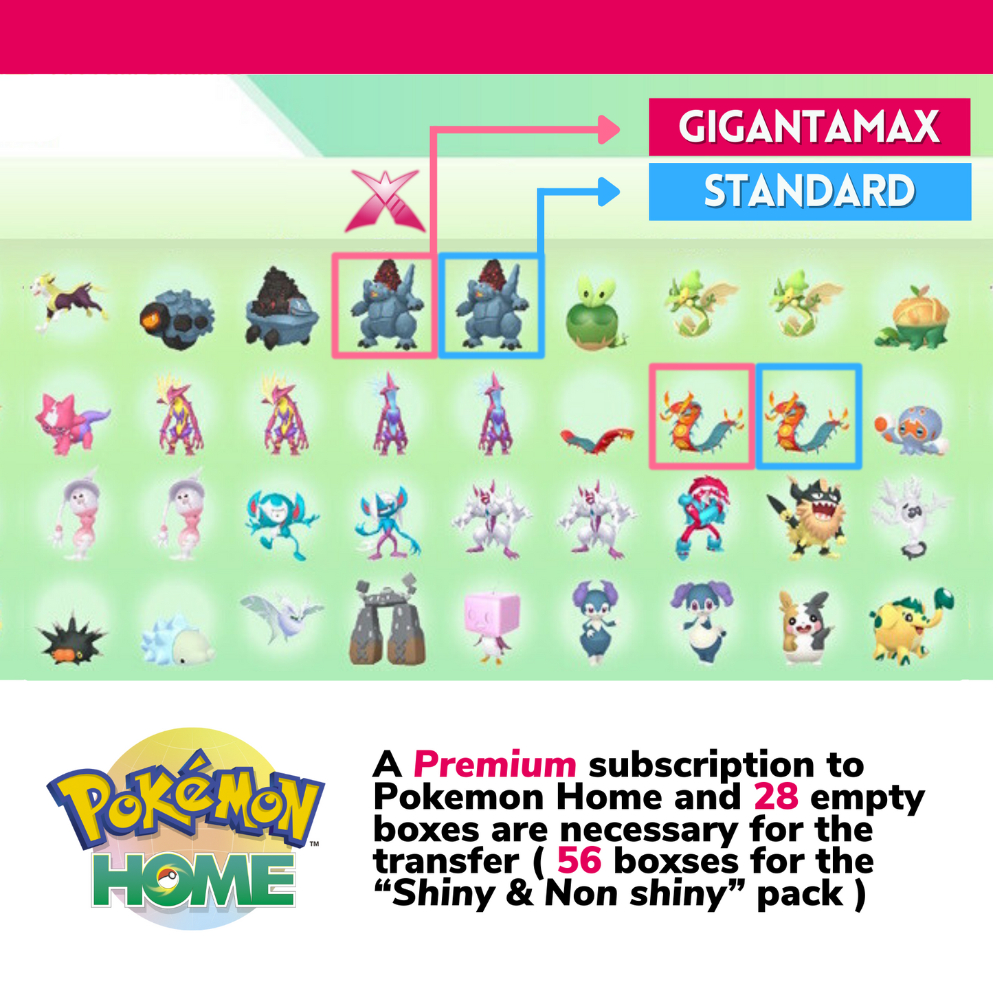 Pokémon Sword Shield Complete Shiny Living Dex 750 Custom OT Name Galar + DLC Pokedex Competitive Pokémon HOME 6 IV Legit by Il mio negozio | Shiny Living Dex
