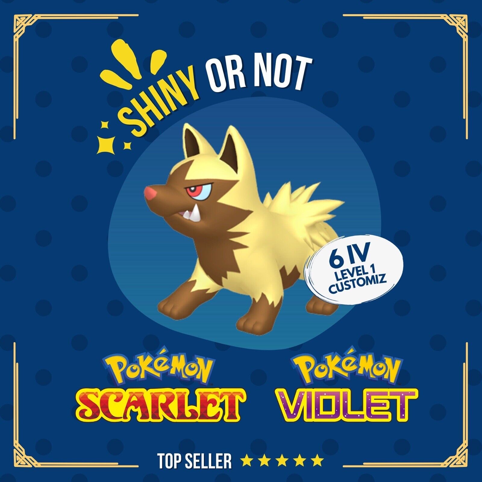 Poochyena Shiny or Non 6 IV Customizable Nature Level OT Pokémon Scarlet Violet by Shiny Living Dex | Shiny Living Dex