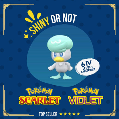 Quaxly Shiny or Non ✨ 6 IV Customizable Nature Level OT Pokémon Scarlet Violet by Shiny Living Dex | Shiny Living Dex