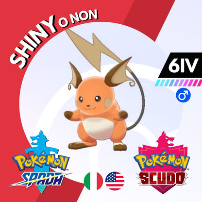 Raichu Shiny o Non 6 IV Competitivo Legit Pokemon Spada Scudo Sword Shield