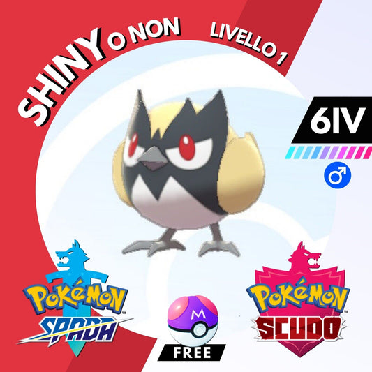 Rookidee Shiny o Non 6 IV e Master Ball Legit Pokemon Spada Scudo Sword Shield