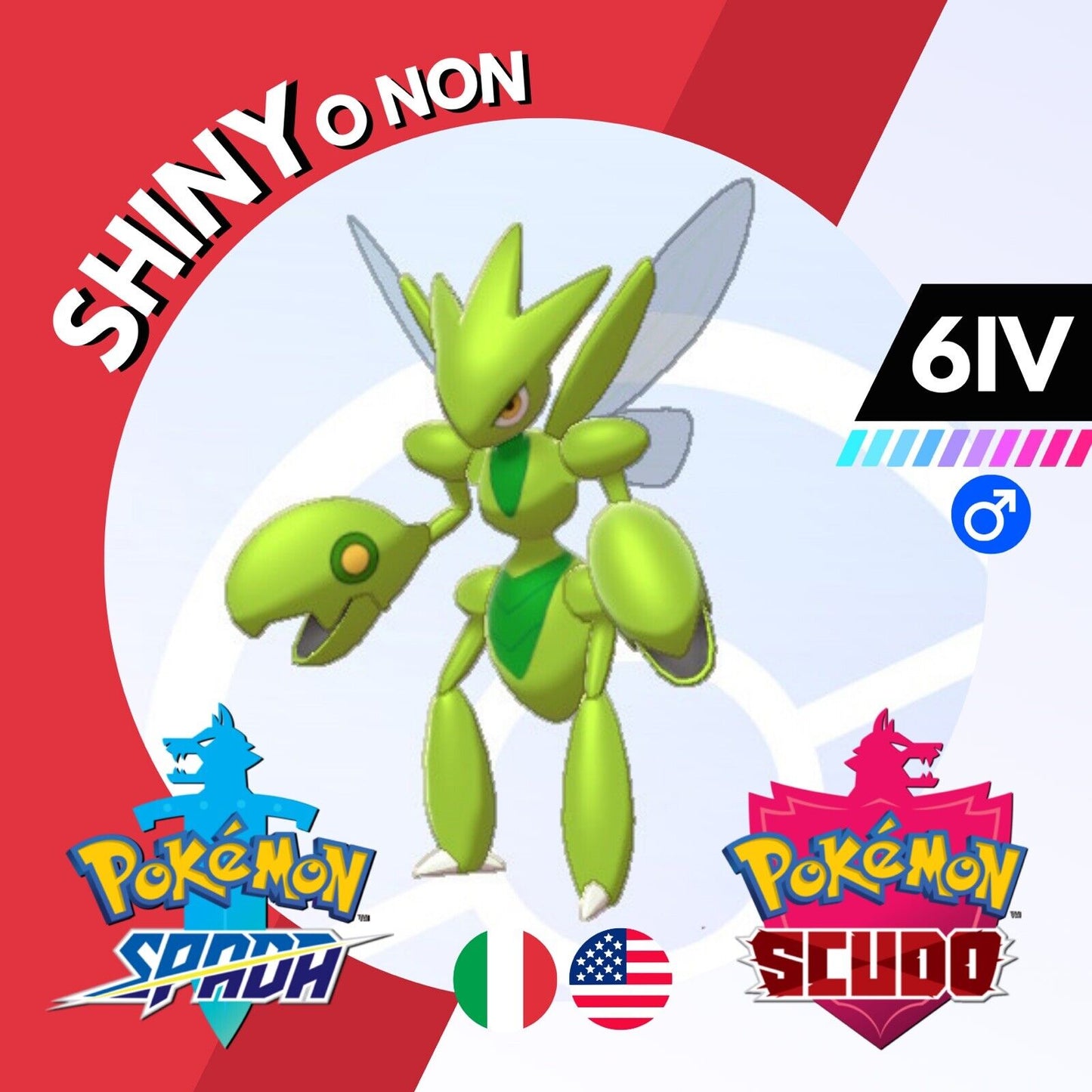 Scizor Shiny o Non 6 IV Competitivo Legit Pokemon Spada Scudo Sword Shield