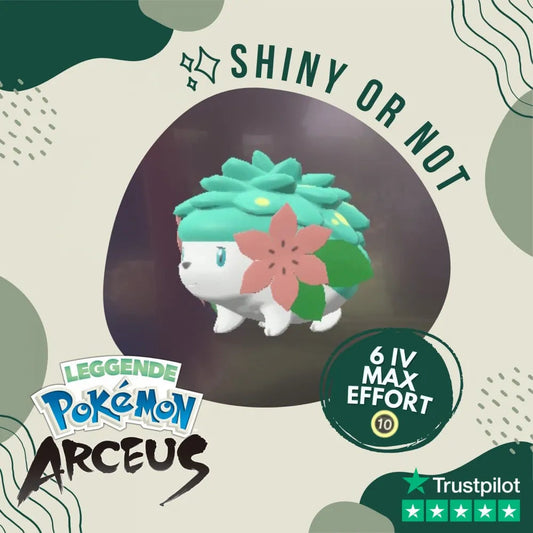 Shaymin Land Form Shiny ✨ Legends Pokémon Arceus 6 IV Custom OT Level Gender by Shiny Living Dex | Shiny Living Dex