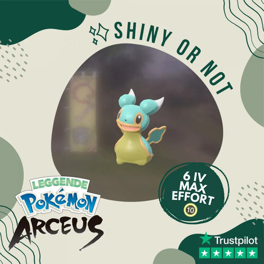Shellos East Sea Shiny ✨ Legends Pokémon Arceus 6 IV Custom OT Level Gender by Shiny Living Dex | Shiny Living Dex