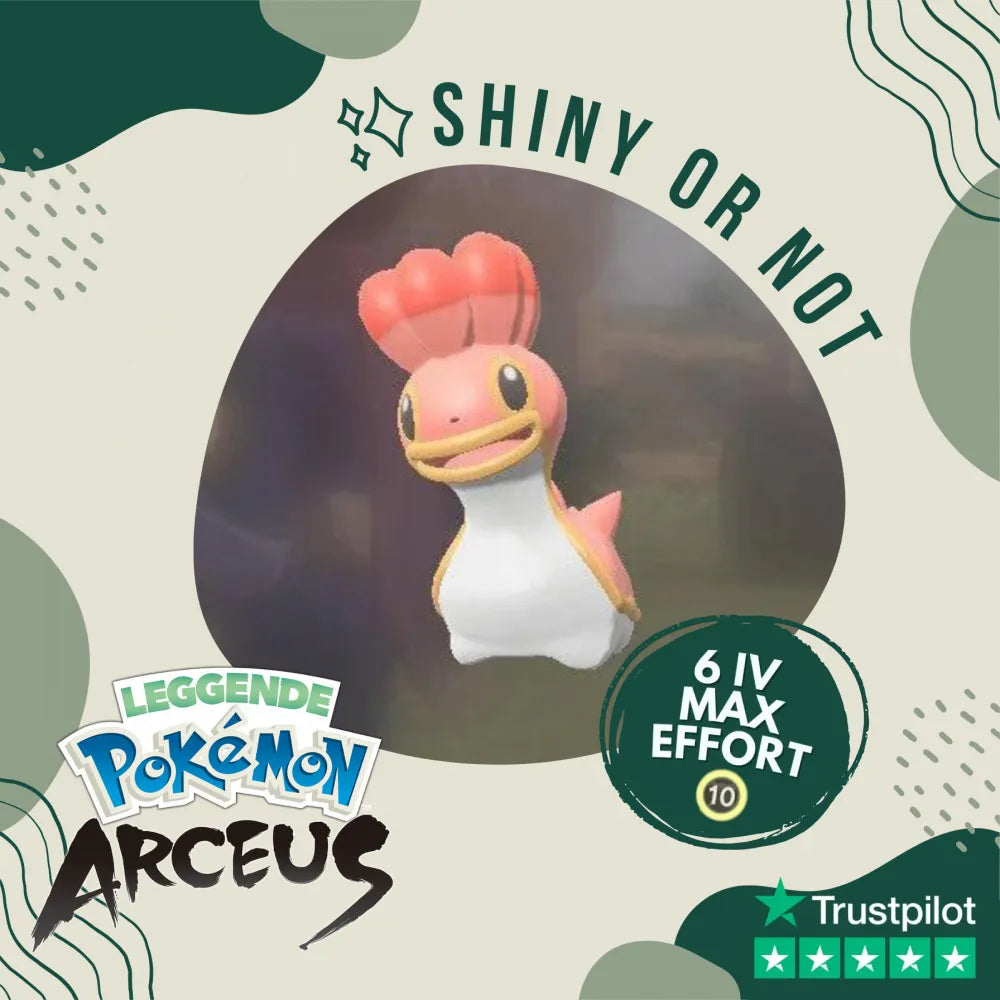 Shellos West Sea Shiny ✨ Legends Pokémon Arceus 6 IV Custom OT Level Gender by Shiny Living Dex | Shiny Living Dex