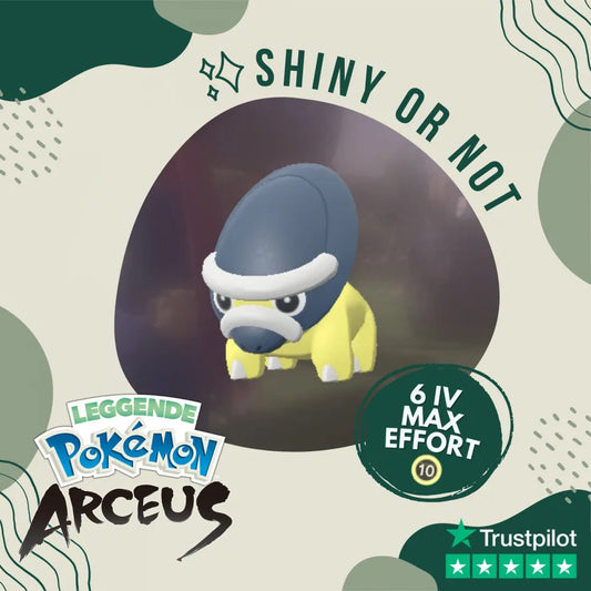 Shieldon Shiny ✨ Legends Pokémon Arceus 6 Iv Max Effort Custom Ot Level Gender
