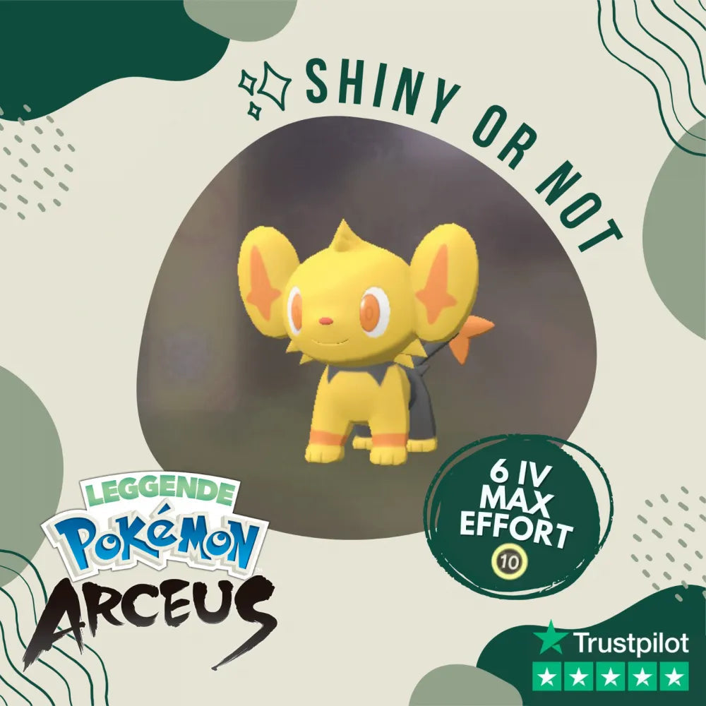 Shinx Shiny ✨ Legends Pokémon Arceus 6 Iv Max Effort Custom Ot Level Gender