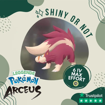 Skuntank Shiny ✨ Legends Pokémon Arceus 6 Iv Max Effort Custom Ot Level Gender