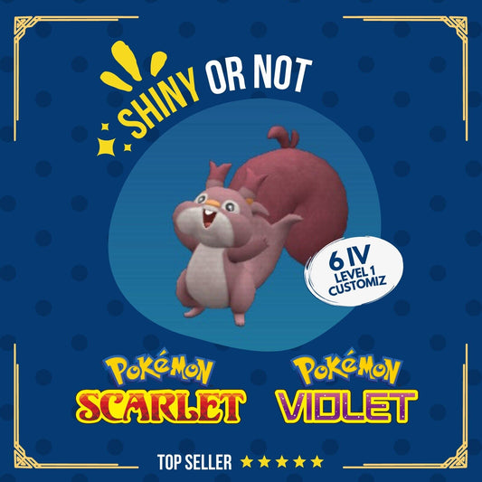 Skwovet Shiny or Non ✨ 6 IV Customizable Nature Level OT Pokémon Scarlet Violet by Shiny Living Dex | Shiny Living Dex