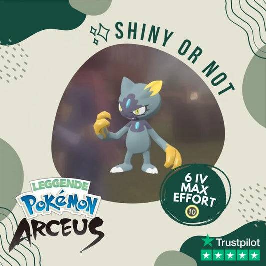 Sneasel Hisui Shiny ✨ Legends Pokémon Arceus 6 IV Custom OT Level Gender by Shiny Living Dex | Shiny Living Dex