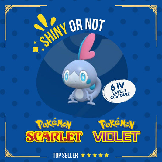 Sobble Shiny or Non ✨ 6 IV Customizable Nature Level OT Pokémon Scarlet Violet by Shiny Living Dex | Shiny Living Dex