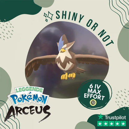 Staraptor Shiny ✨ Legends Pokémon Arceus 6 Iv Max Effort Custom Ot Level Gender