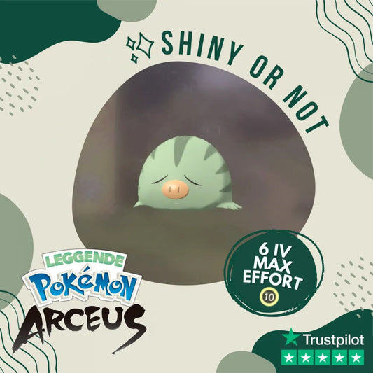 Swinub Shiny ✨ Legends Pokémon Arceus 6 Iv Max Effort Custom Ot Level Gender