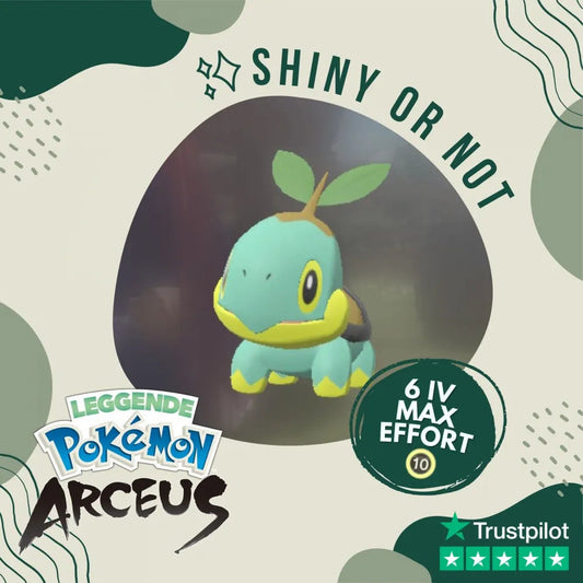 Turtwig Shiny ✨ Legends Pokémon Arceus 6 Iv Max Effort Custom Ot Level Gender