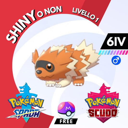 Zigzagoon Shiny o Non 6 IV e Master Ball Legit Pokemon Spada Scudo Sword Shield